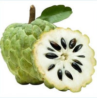 Custard Apple Extract